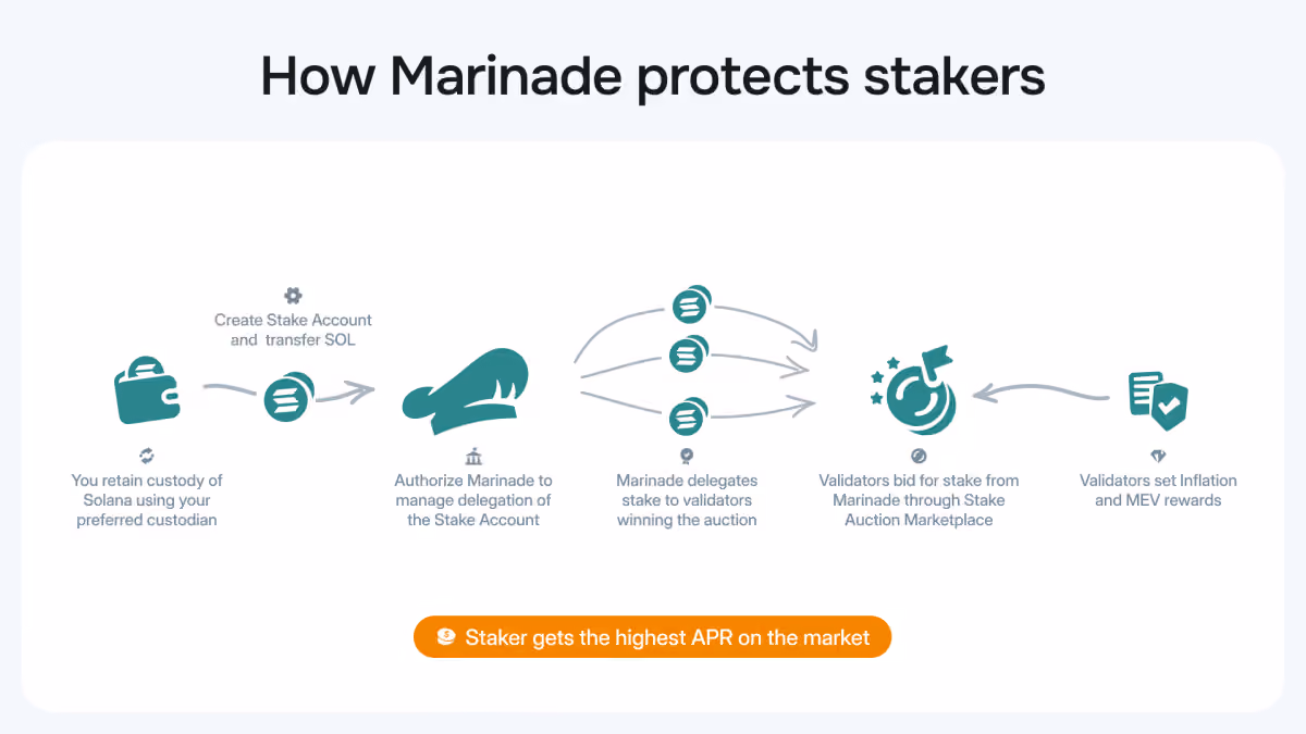 67ac9ddf99ca5f1c7099a9be How Marinade Protects Stakers